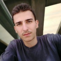 Teodor Ionut Timis