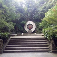 万洋洋