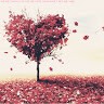 Rose Gitta