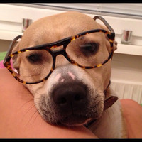 Isabella gruber-mainoni