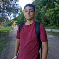 Natan Fellipe Melo Dos Santos