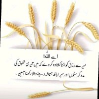 Akhtar Ali