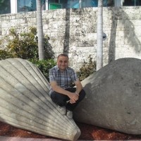 Mahmoud Habboub