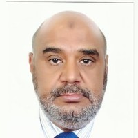 Salaheldin Hamid Hassan