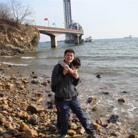 王力平