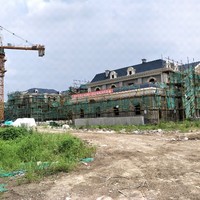 陈时传