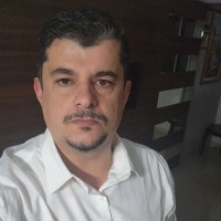 Nelson J Martins Jr Martins