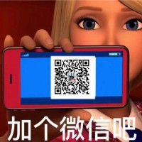 Tina Zhou led string lights