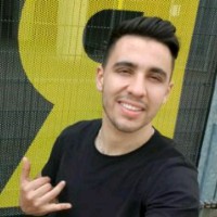 طنجاوي في ألمانيا 2