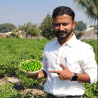 Raj Morvadiya