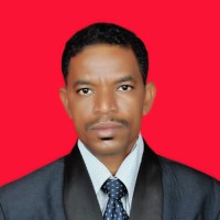 Ayman Bushra