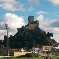 Fco Javier Montoya Martínez