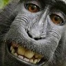 monkey Man