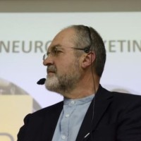 José Manuel Navarro Llena