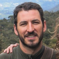 Luis Brown Castellanos