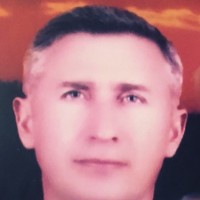 şenol GİRGİN