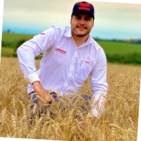 Luiz Henrique Rezende