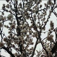王喜鑫