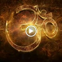 Vikash N