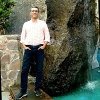 Hamidreza Shayanipour