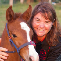 Fiona Todd - Promoting to Equestrians