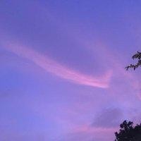 陈宇佳