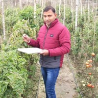 Dr. Devmani Bind Ph.D.