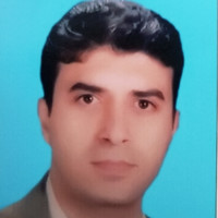 Reza Elahi