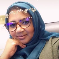 Hodan Kariye