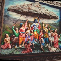 Prateek Dixit
