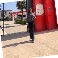 Manal Afa