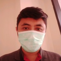 setyo budi