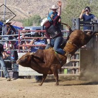 Dylan Humbert