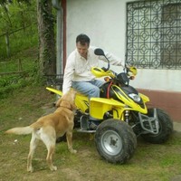 Dragan Tatomir