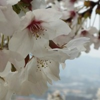 刘子婷