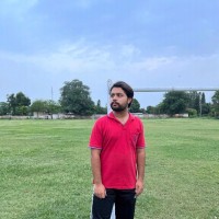 Taha Feroz