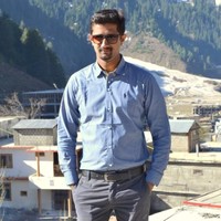 Muhammad Hamza Altaf