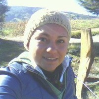 Terroncito De Azucar