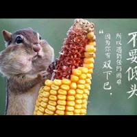 胡步星