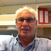 Stu McKellar