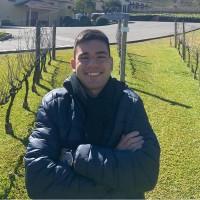 Léo Falcão Vieira Furtado