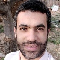 mohammed tantawy