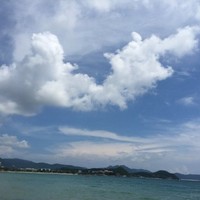 苗星龙