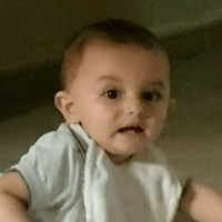 محمود قصاص