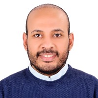 Ahmed Abdelnaby, Dipifrs, Sap, Oracle Ns.
