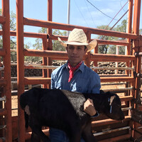 Rogelio Hernandez