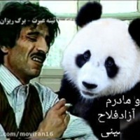 صادق آزاد فلاح