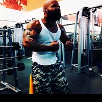 STEEL PLATE SECURITY