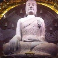 林利军