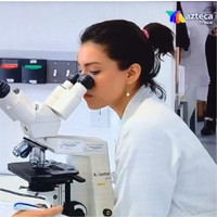 Irazú Gordillo López